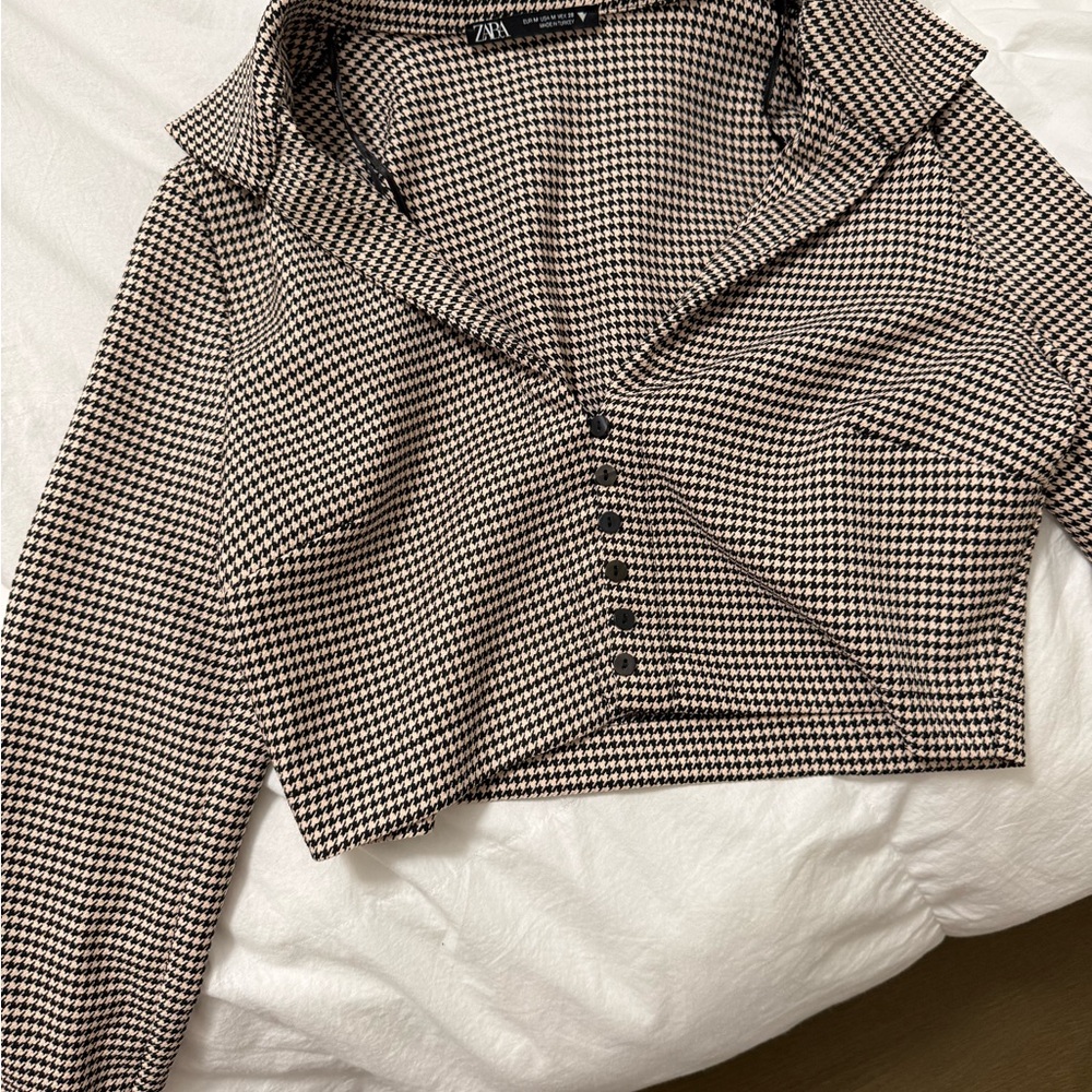 Zara Long Sleeved Crop Top